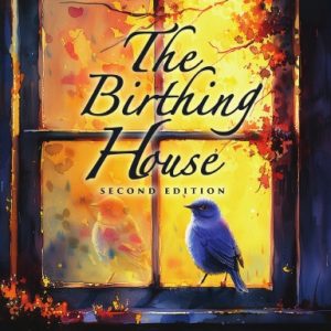 The Birthing House (Paperback)
